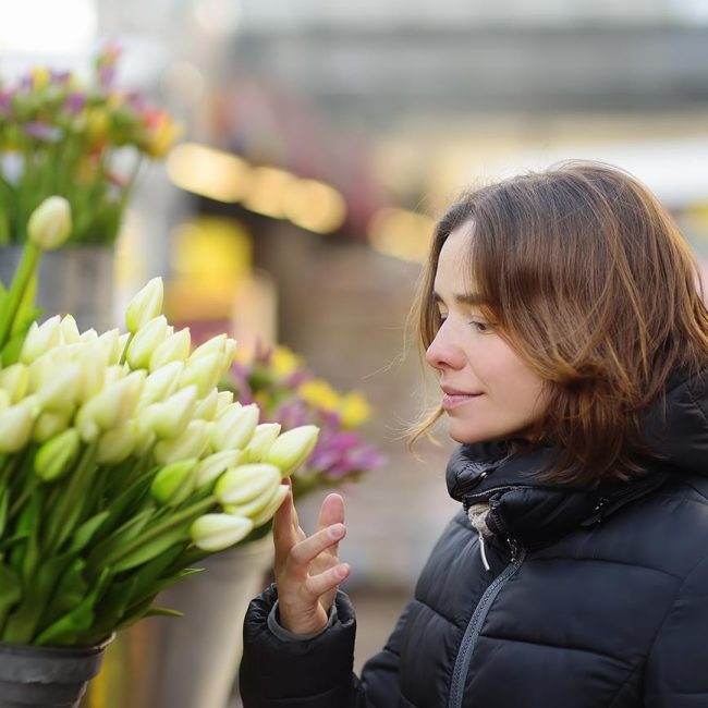 Adorfer Tulpenmarkt